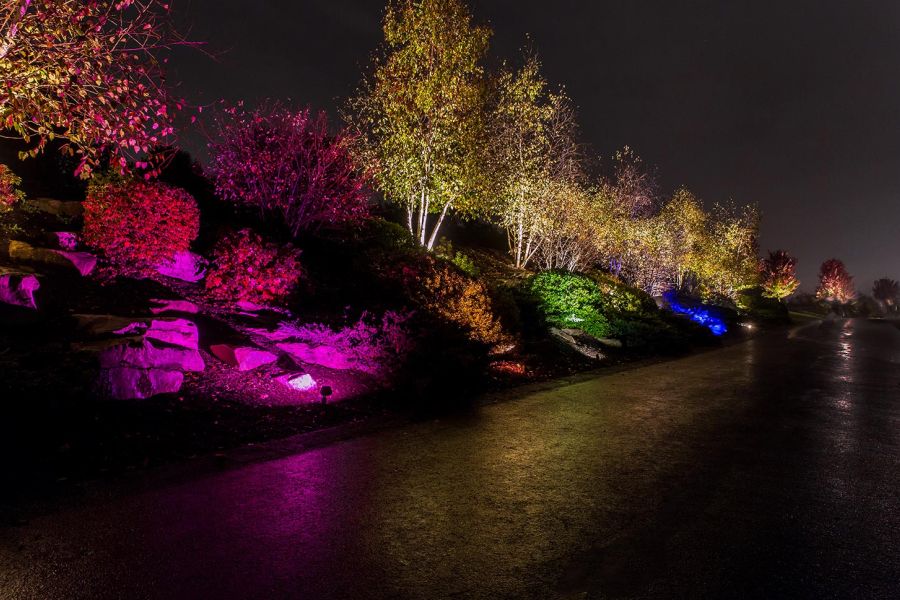 Clean concrete staircase illuminated by subtle wall lights