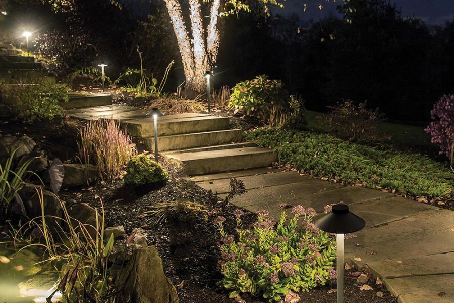 Stone garden path with steps and trees lit by landscape path lights